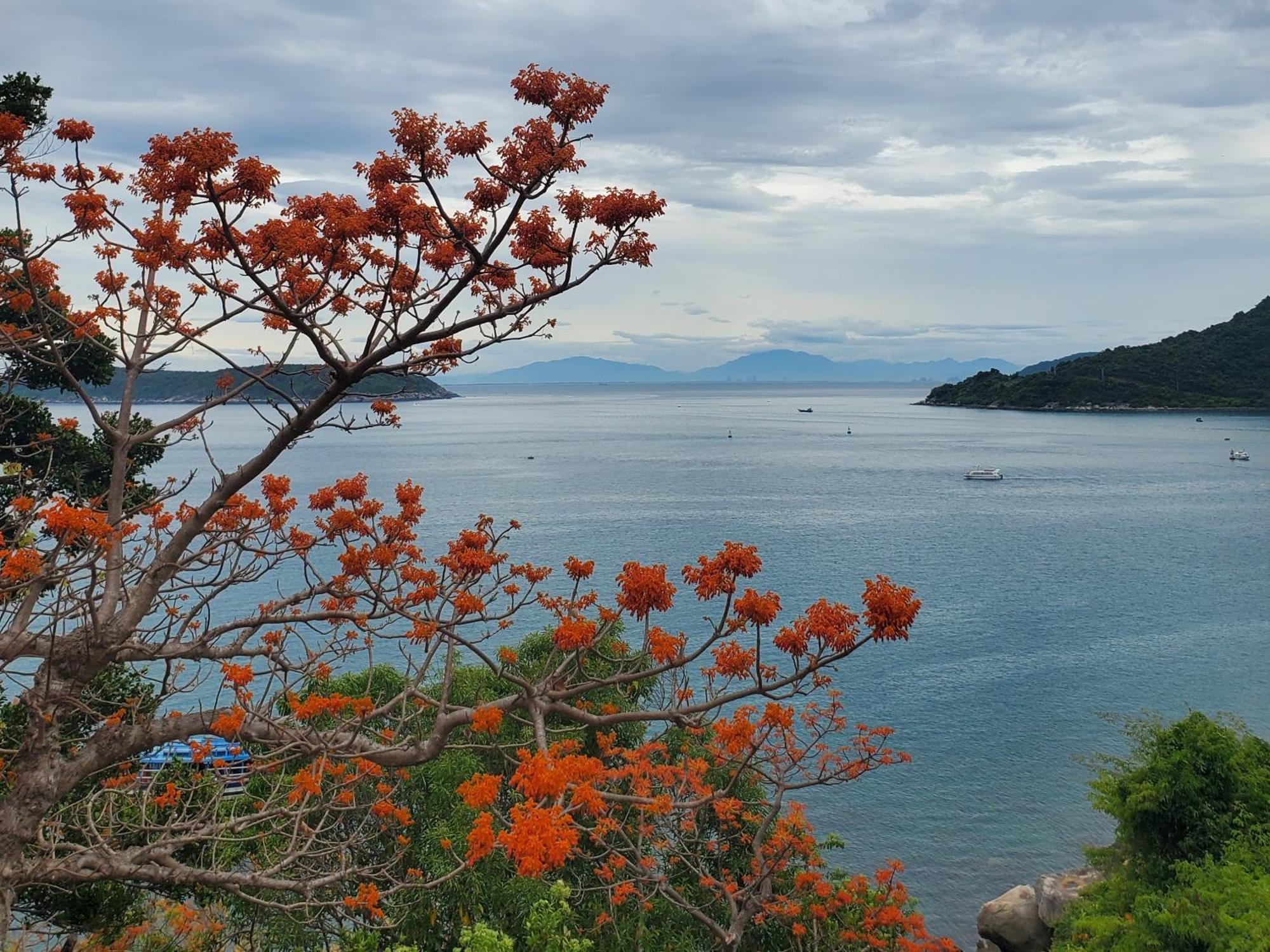 Tuan Thanh Homestay Tân Hiệ Esterno foto